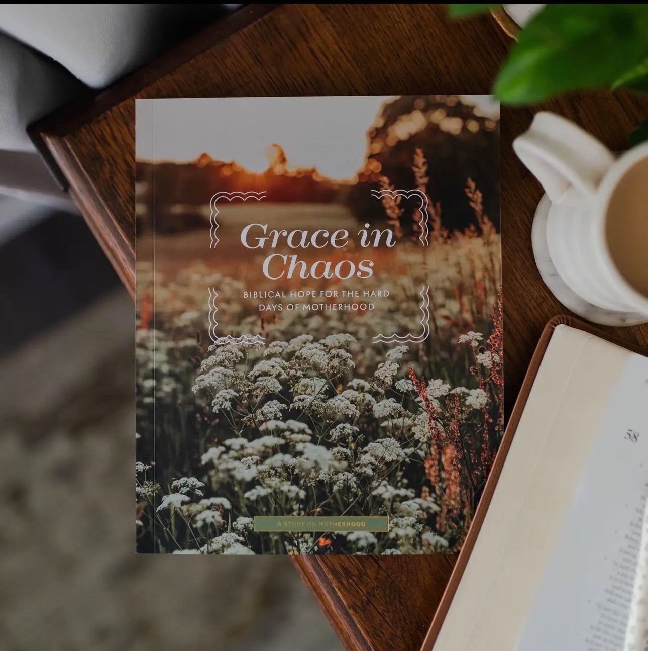 Grace in Chaos